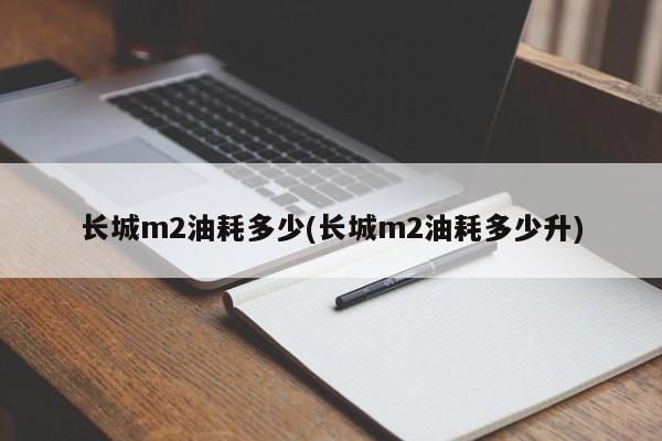 长城m2油耗多少(长城m2油耗多少升)