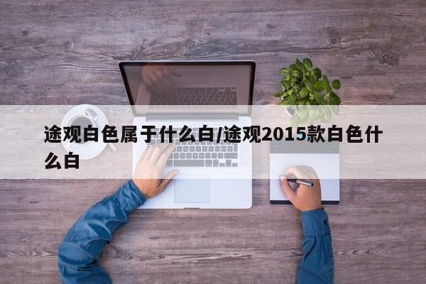 途观白色属于什么白/途观2015款白色什么白