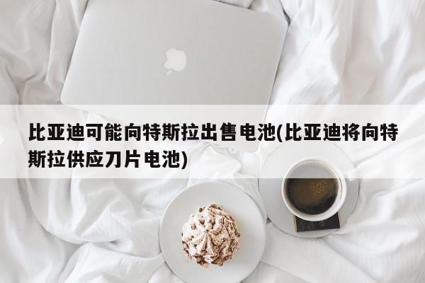 比亚迪可能向特斯拉出售电池(比亚迪将向特斯拉供应刀片电池)