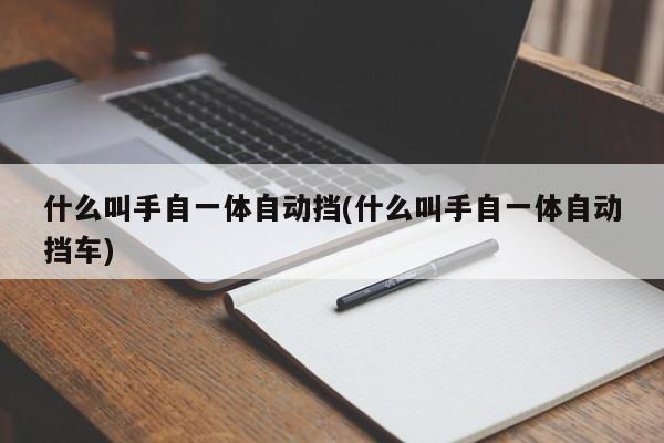 什么叫手自一体自动挡(什么叫手自一体自动挡车)